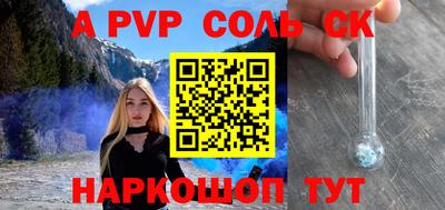 индика Кингисепп