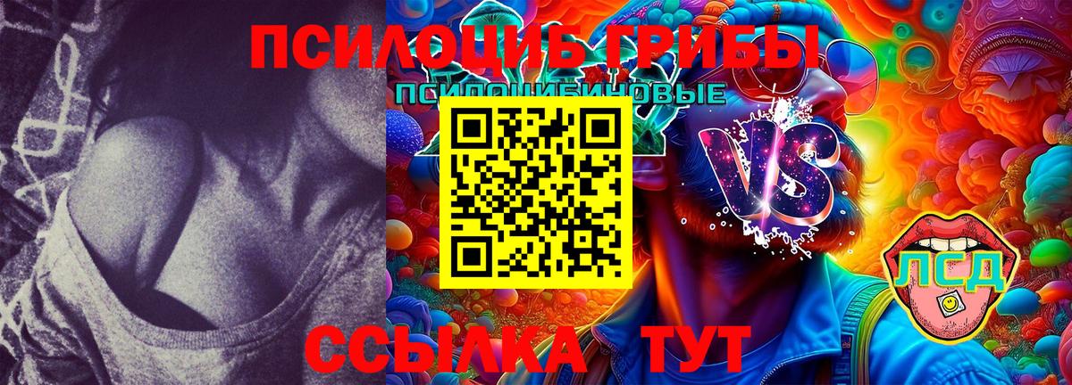 Новокубанск  Псилоцибиновые грибы Cubensis  Вход с VPN 