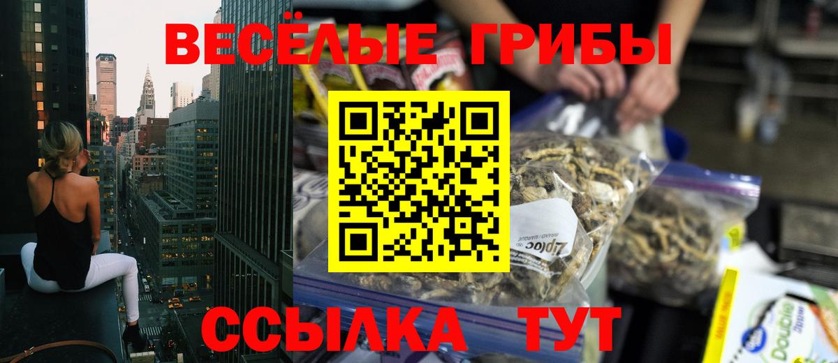 Галлюциногенные грибы MAGIC MUSHROOMS Новокубанск